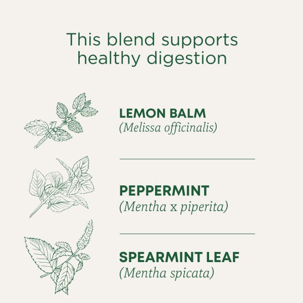 Чайные пакетики Traditional Medicinals Organic Herbal Tea Triple Mint Daily Probiotic Peppermint, без кофеина, вкус Spearmint & Lemon Balm, 24 г, 16 чайных пакетиков — фото 4