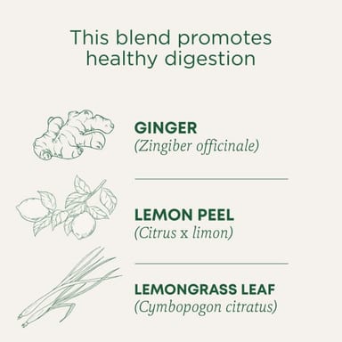 Чайные пакетики Traditional Medicinals, без кофеина, вкус Organic Lemon Ginger, 32 г, 16 чайных пакетиков