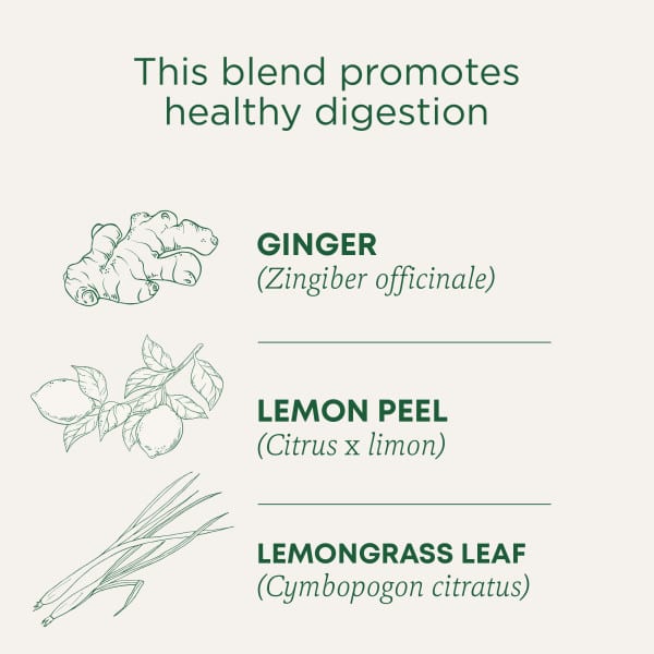 Чайные пакетики Traditional Medicinals, без кофеина, вкус Organic Lemon Ginger, 32 г, 16 чайных пакетиков
