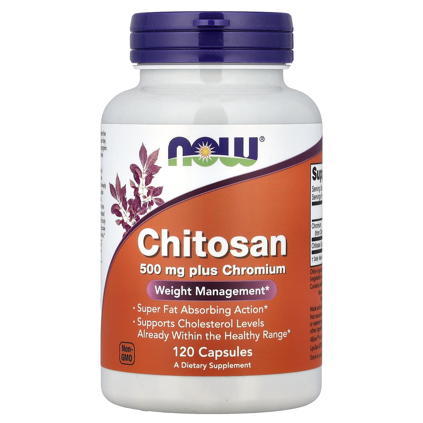 Хром NOW Foods Chitosan plus, 120 капсул