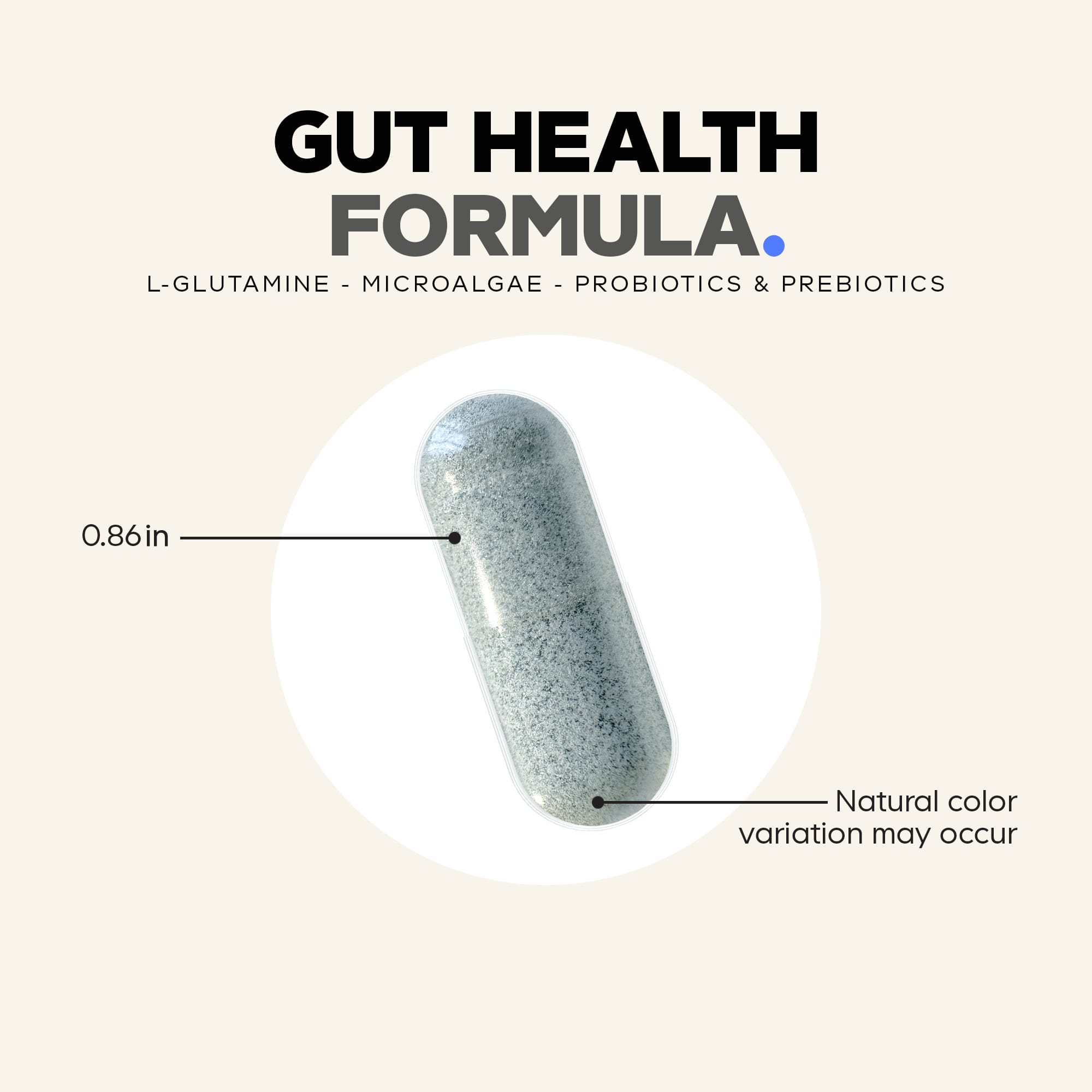 Комплекс Codeage Gut Health, 180 растительных капсул — фото 3