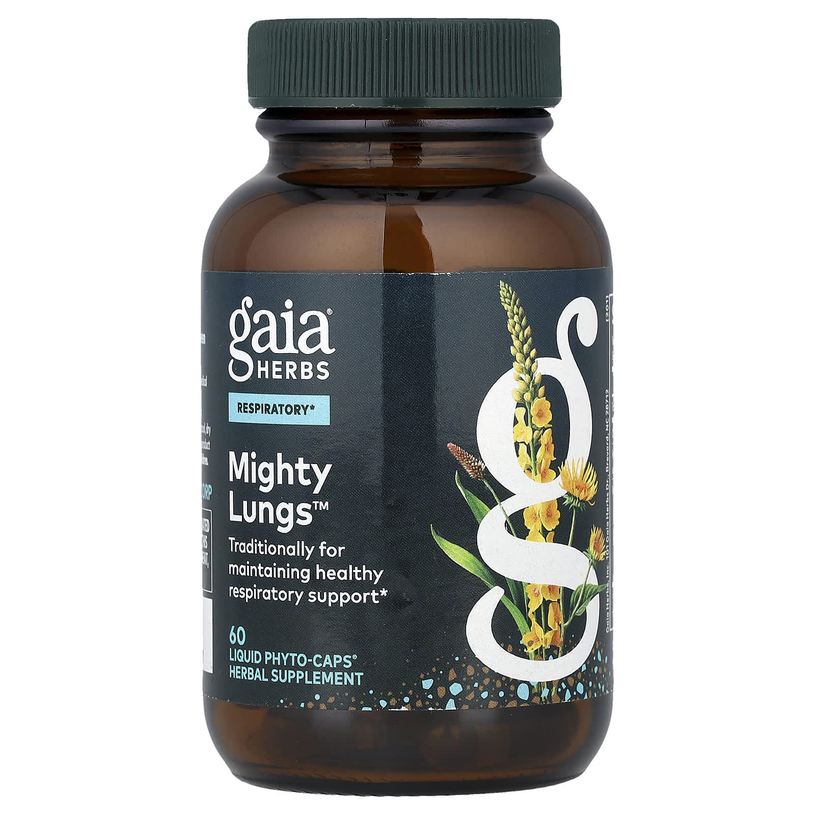 Мощные легкие Gaia Herbs, 60 жидких фитокапсул®