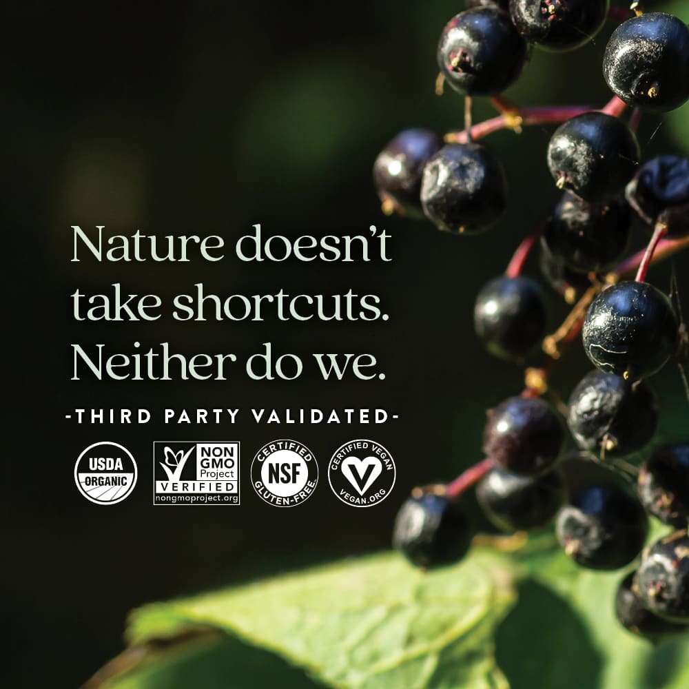 Бузина New Chapter Organic Whole-Food Gummies 30 Vegan Gummies, для детей от 2 лет, жевательные пастилки — фото 6