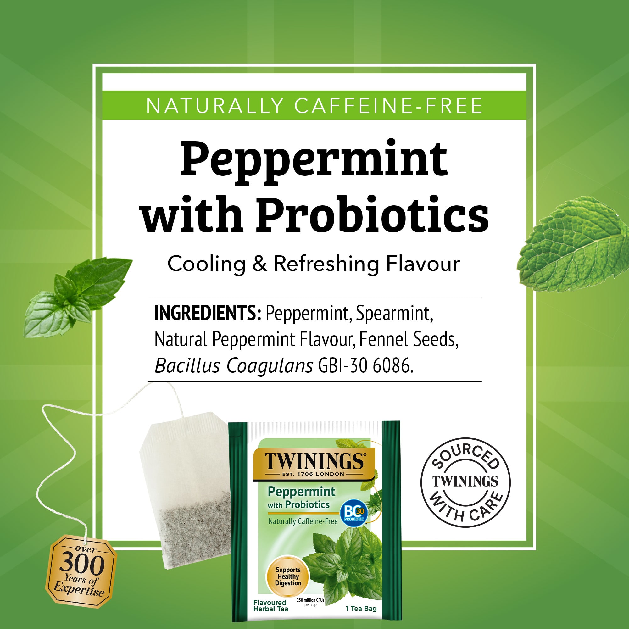 Травяной чай Twinings Peppermint with Probiotics 18 Tea Bags, без кофеина, 36 г, чайные пакетики — фото 7