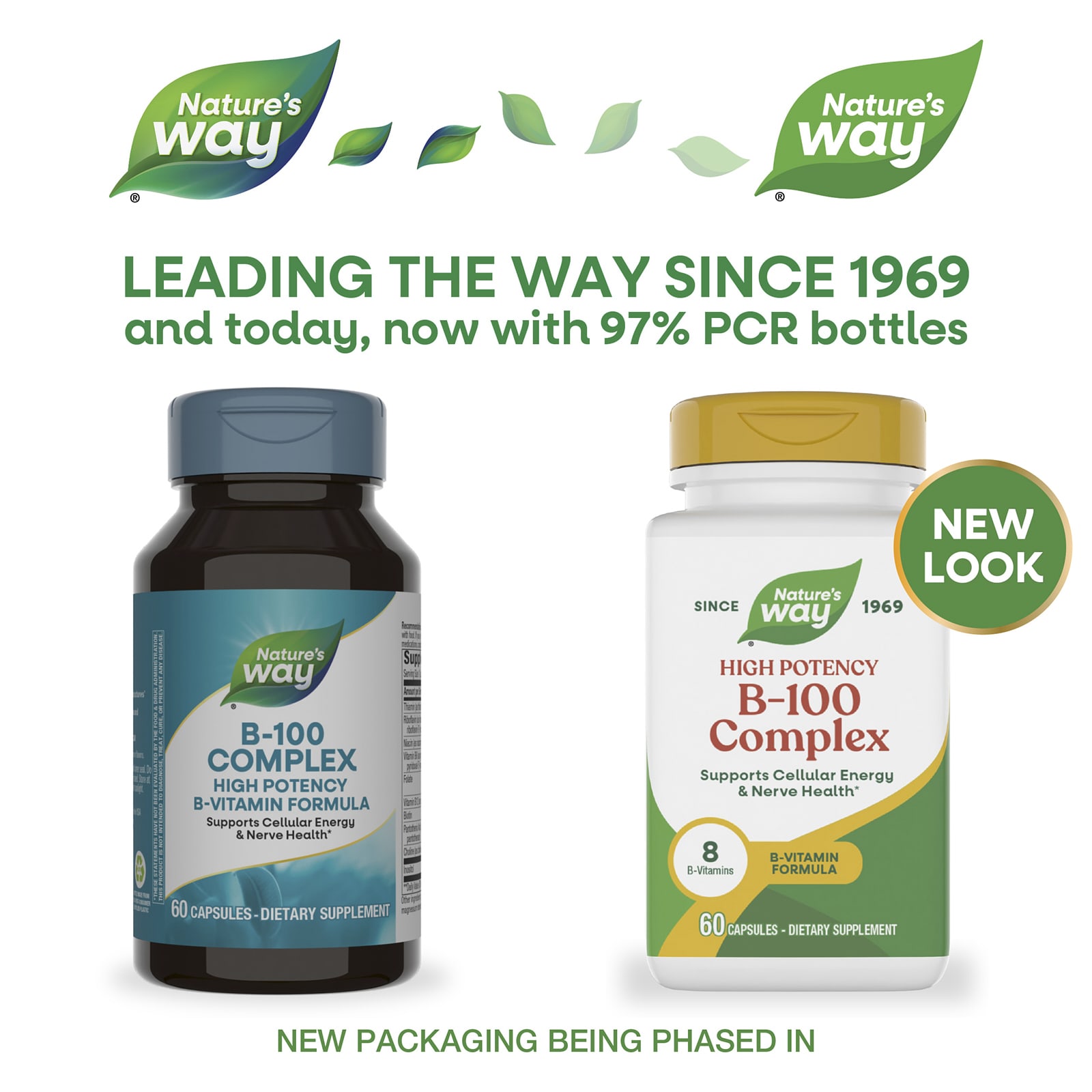 Комплекс Nature's Way B-100, 60 капсул