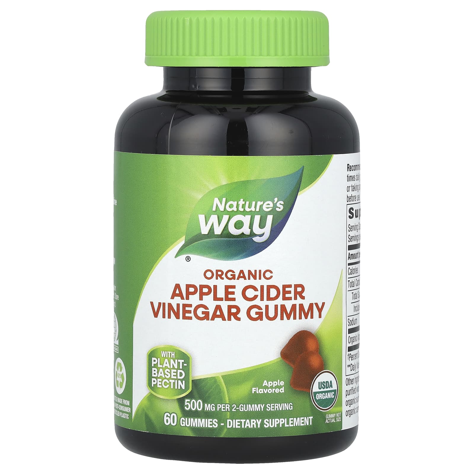 Яблочный уксус Nature's Way, вкус Apple, 250 мг на пастилку, 60 жевательных пастилок