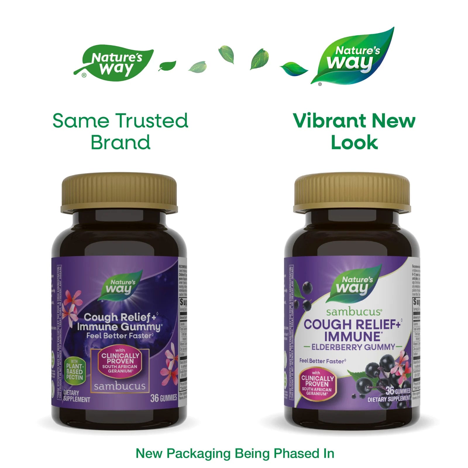 Бузина Nature's Way, вкус Sambucus® Cough Relief Immune Elderberry Gummy, 36 жевательных пастилок — фото 3