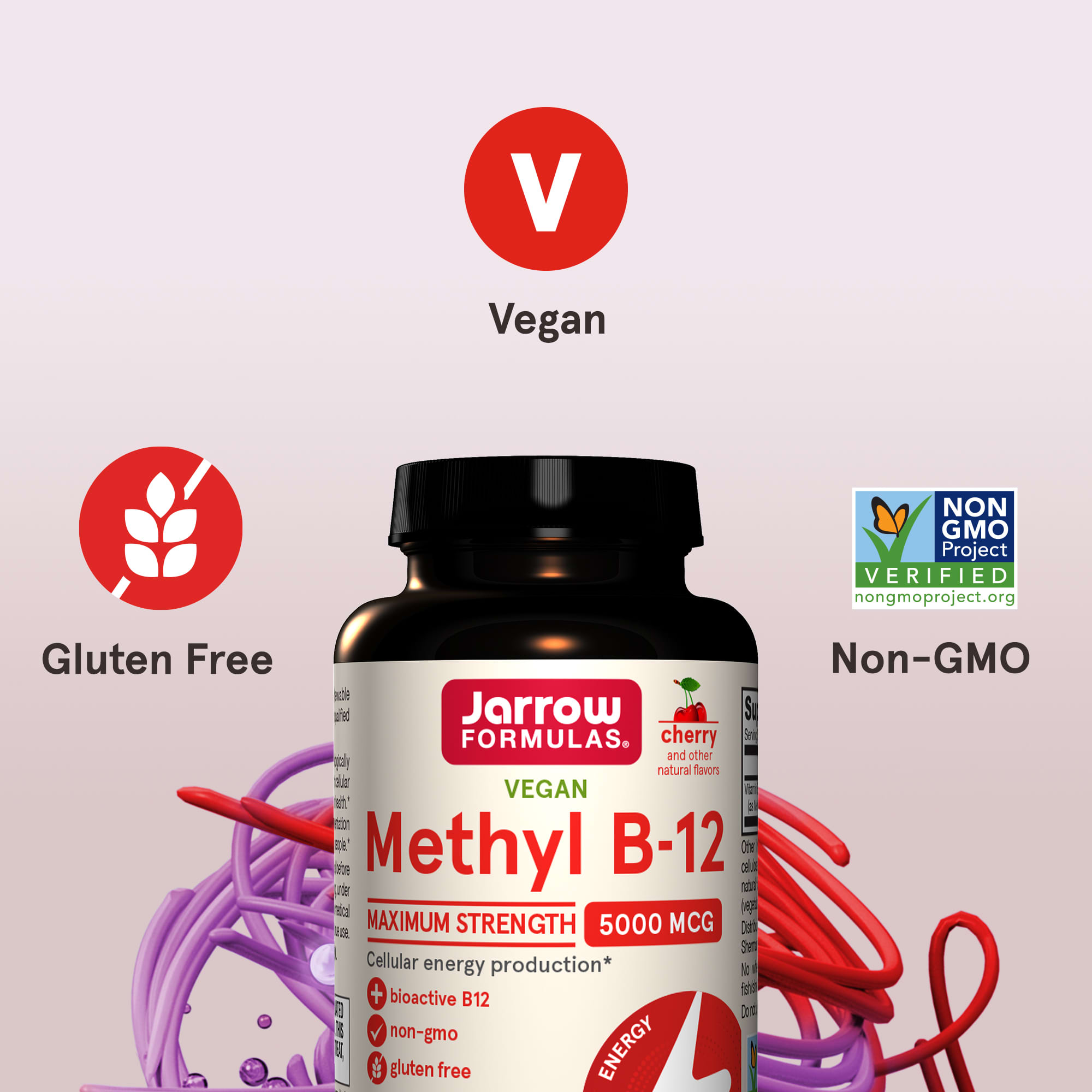 Метил B12 Jarrow Formulas Vegan Methyl Maximum Strength, вкус Cherry, 5000 мкг, 60 жевательных таблеток — фото 6