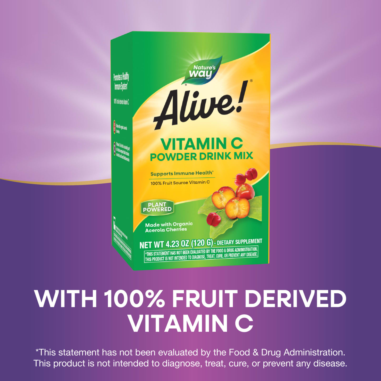 Витамин C Nature's Way Alive!® Powder Drink Mix, 120 г, смесь для напитка — фото 5
