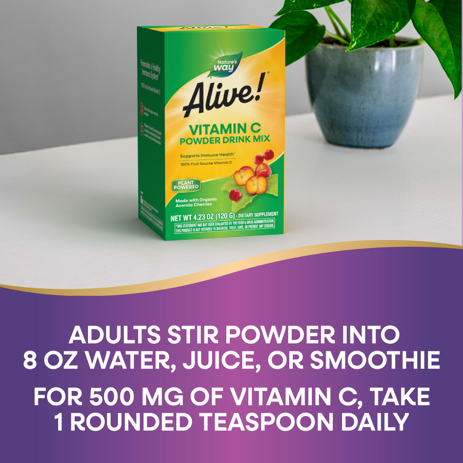 Витамин C Nature's Way Alive!® Powder Drink Mix, 120 г, смесь для напитка — фото 8
