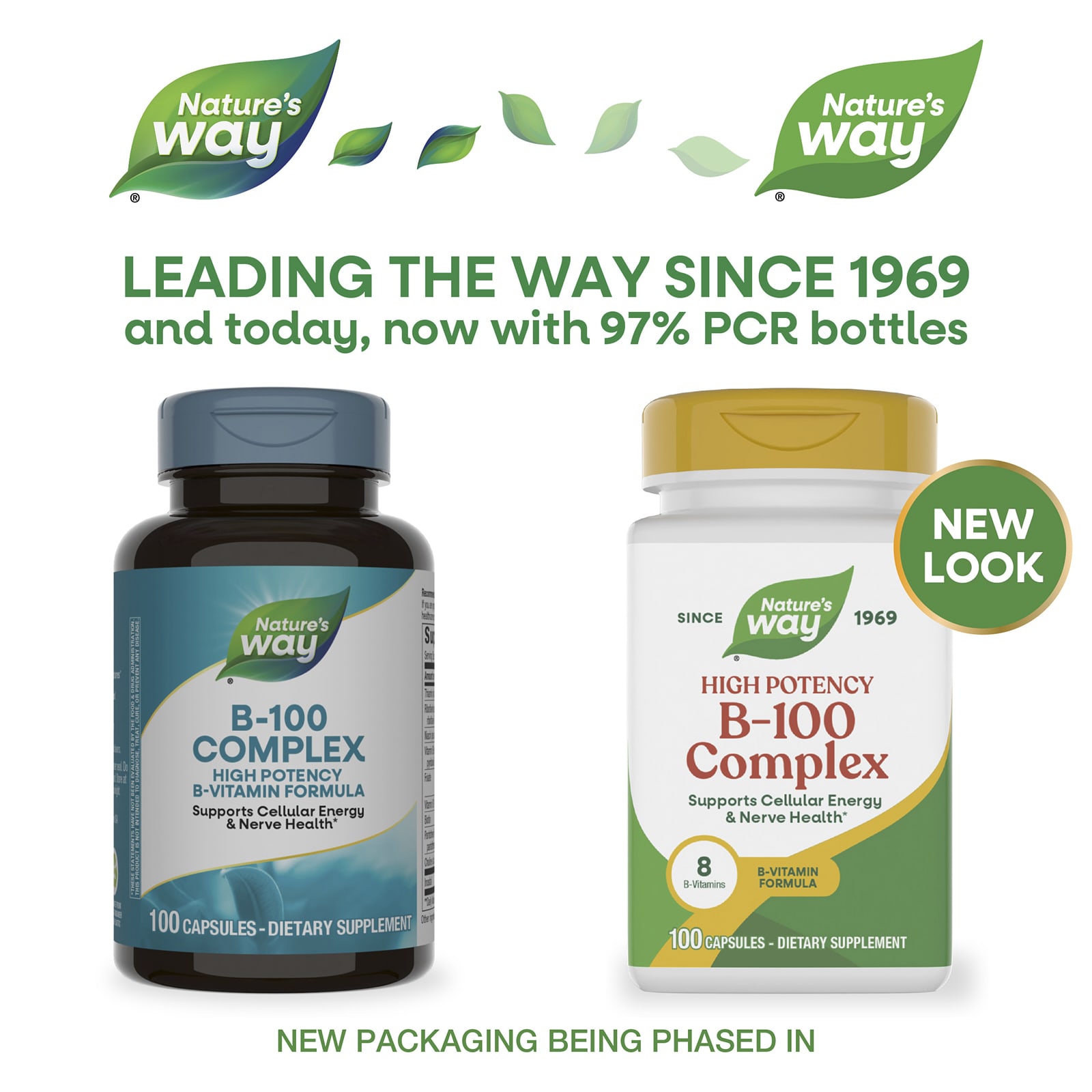 Комплекс Nature's Way B-100, 100 капсул