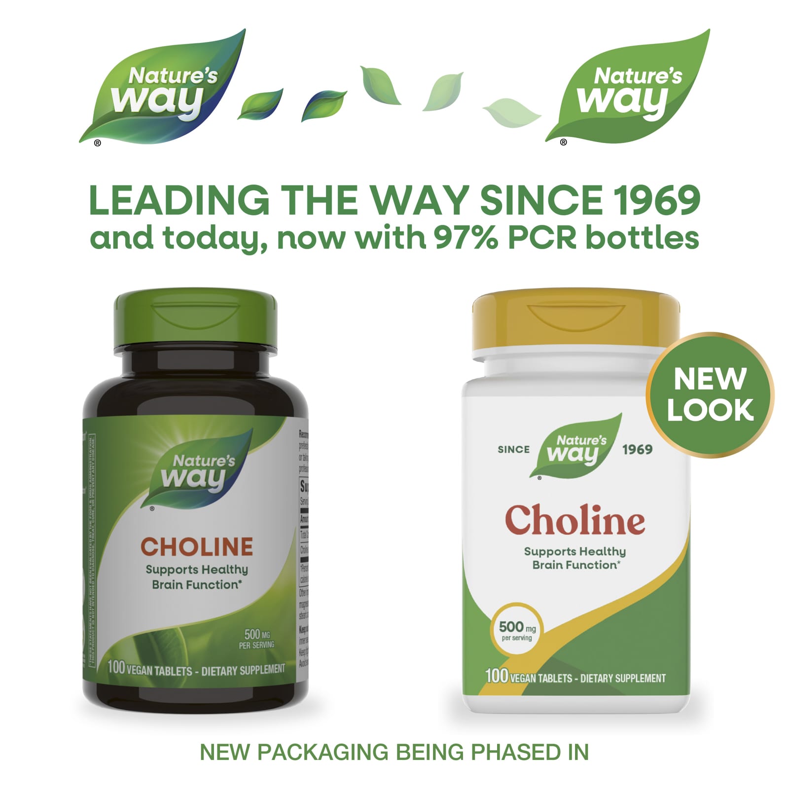 Холин Nature's Way 100 Vegan Tablets, 500 мг, таблетки