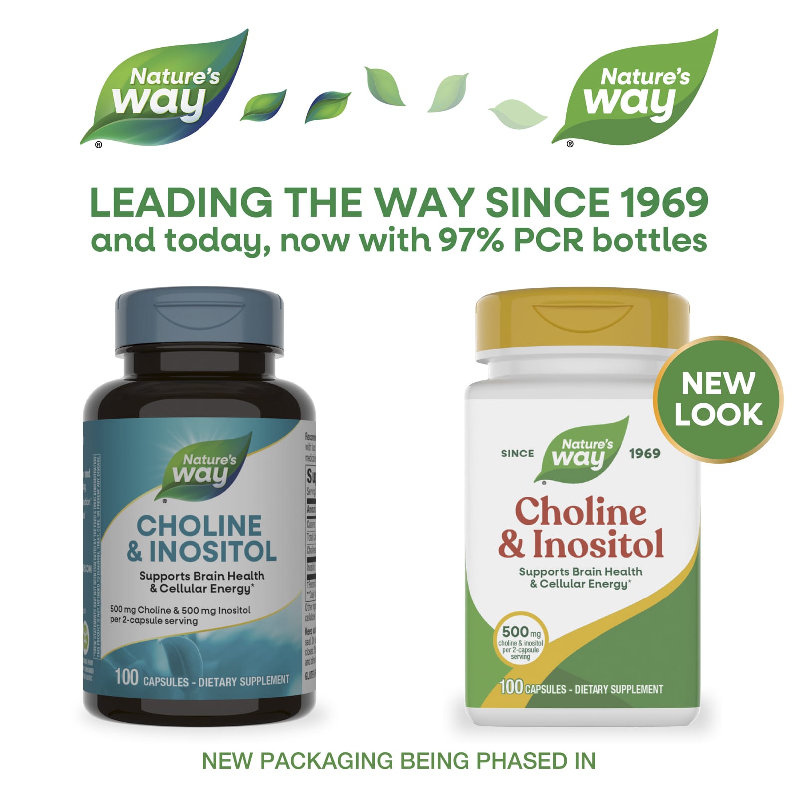 Инозитол Nature's Way Choline &, 100 капсул