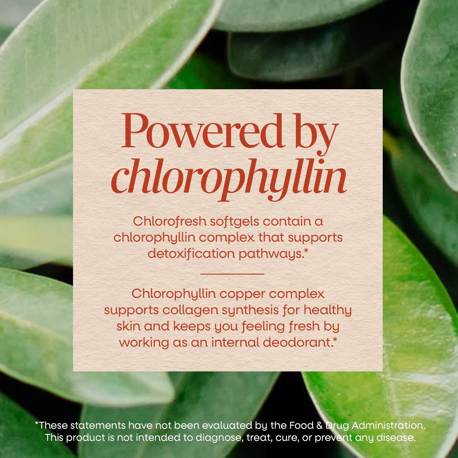 Хлорофилл Nature's Way Chlorofresh® Concentrate, 50 мг, 90 мягких капсул — фото 5