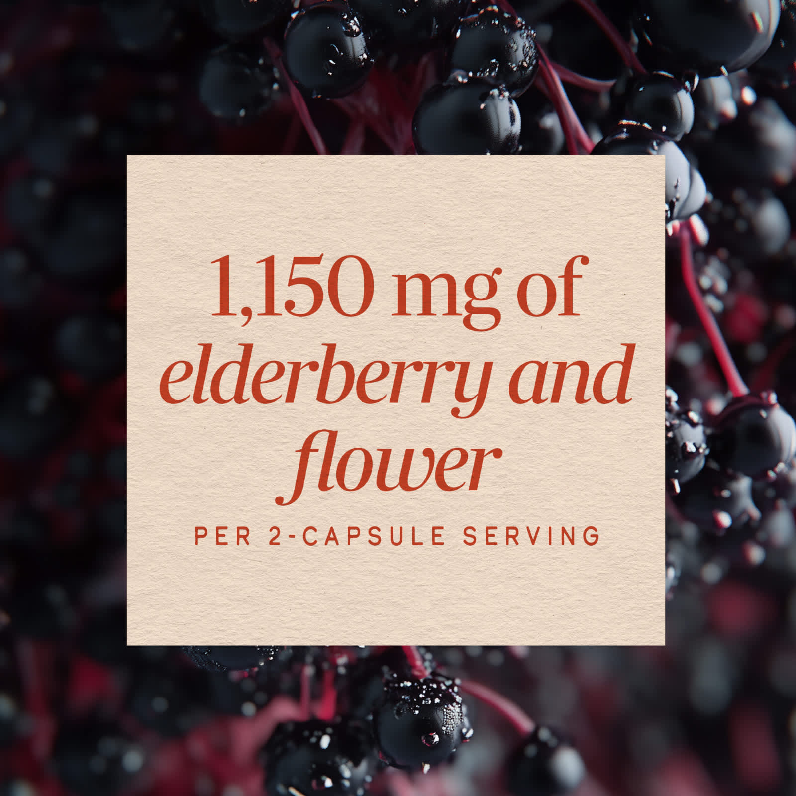 Бузина Nature's Way, вкус Black Elderberry, 575 мг, 100 растительных капсул — фото 5