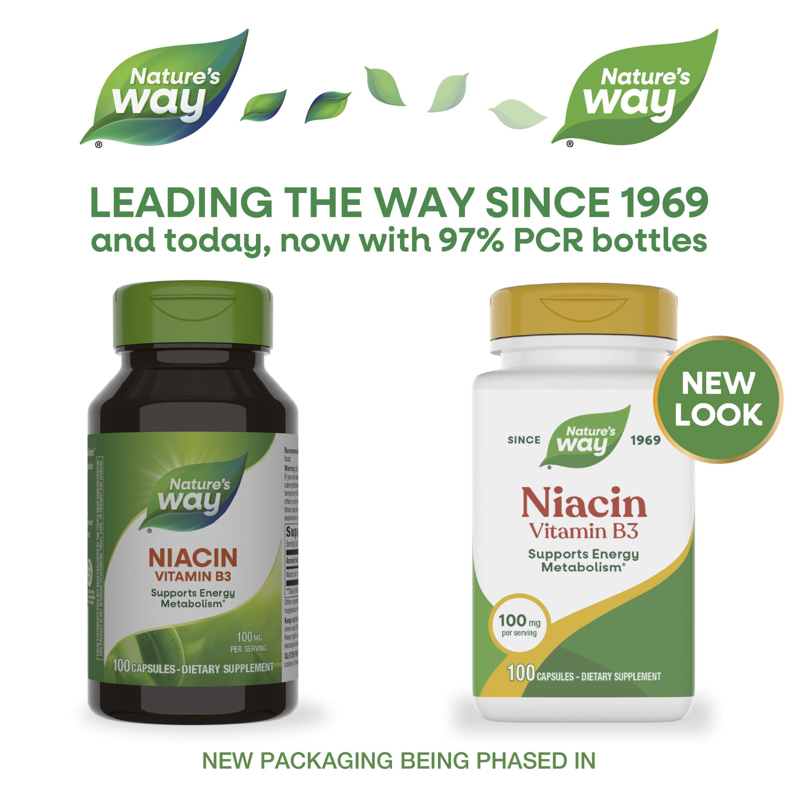 Ниацин Nature's Way Vitamin B3, 100 мг, 100 капсул