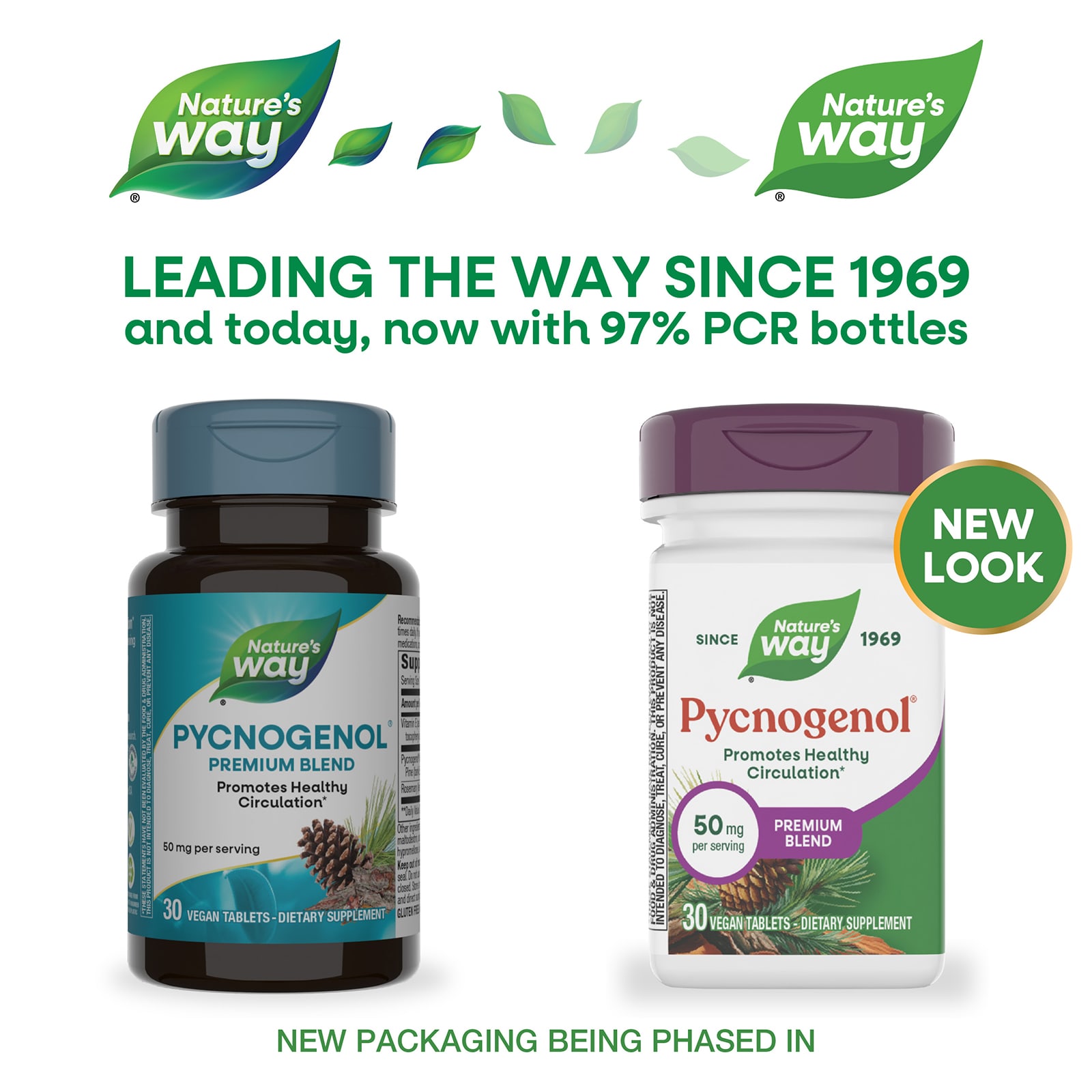 Пикногенол Nature's Way® 30 Vegan Tablets, таблетки — фото 3