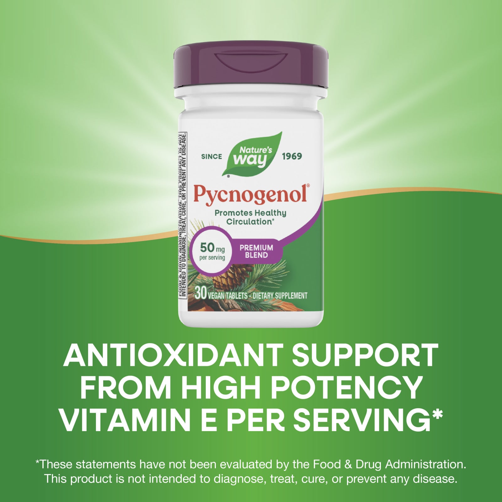 Пикногенол Nature's Way® 30 Vegan Tablets, таблетки — фото 5