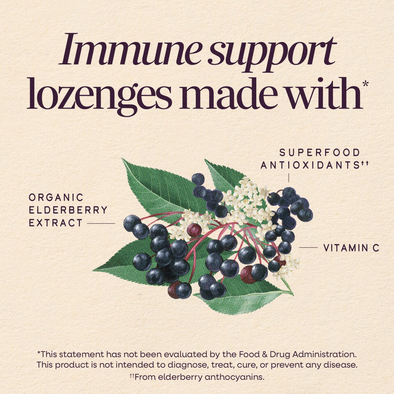 Бузина Nature's Way Sambucus® Immune, вкус Elderberry Vitamin C, для детей от 7 лет, 30 пастилок — фото 5