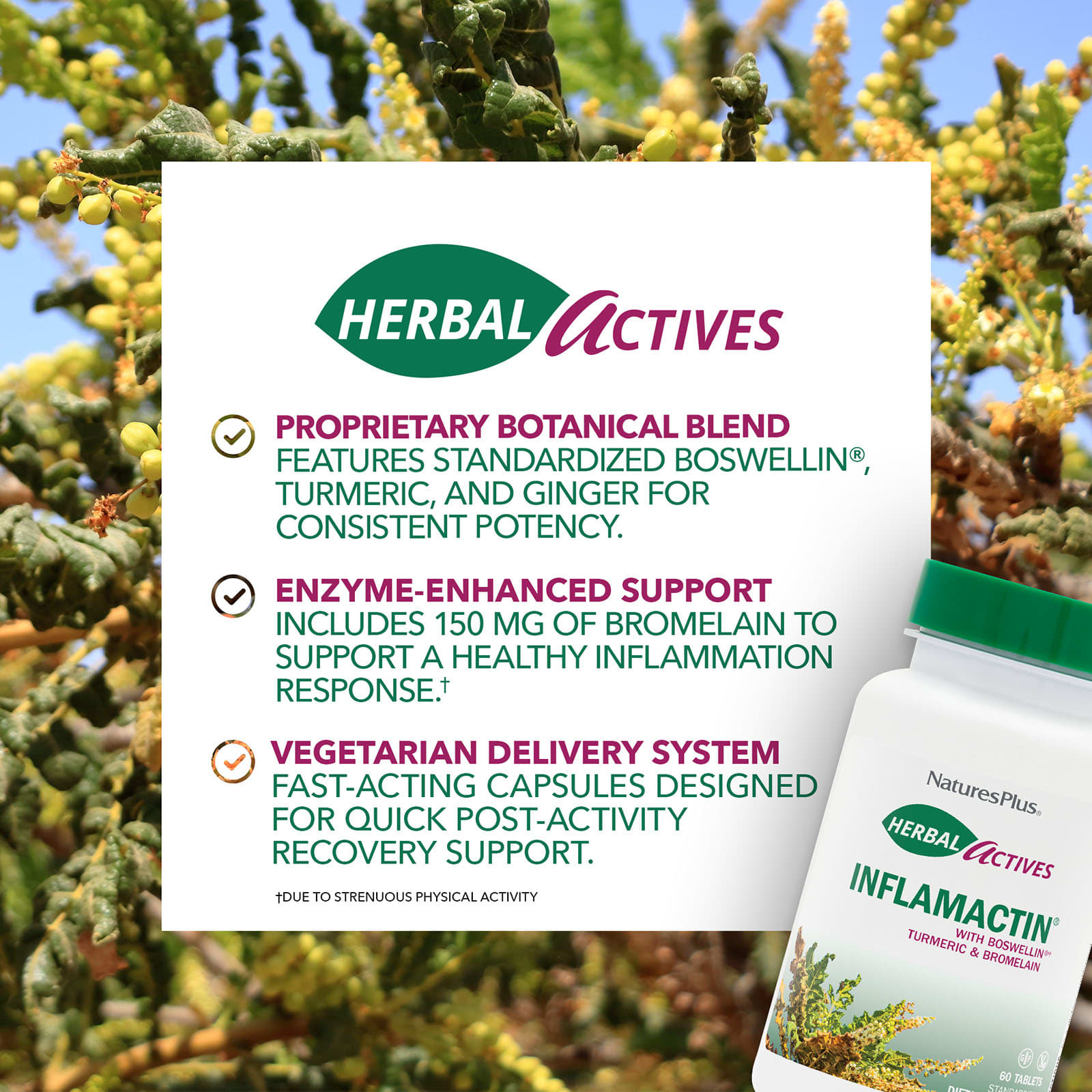 Противовоспалительное средство NaturesPlus, 60 веганских капсул — фото 3