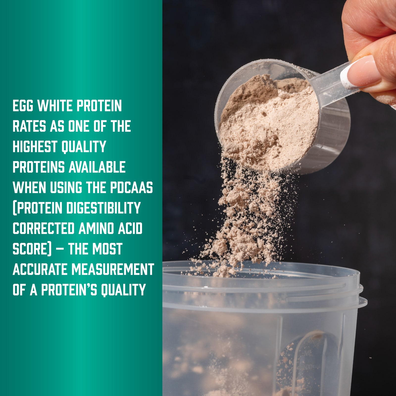 Шоколад NOW Foods Sports Egg White Protein With BCAAs Creamy, 680 г — фото 4
