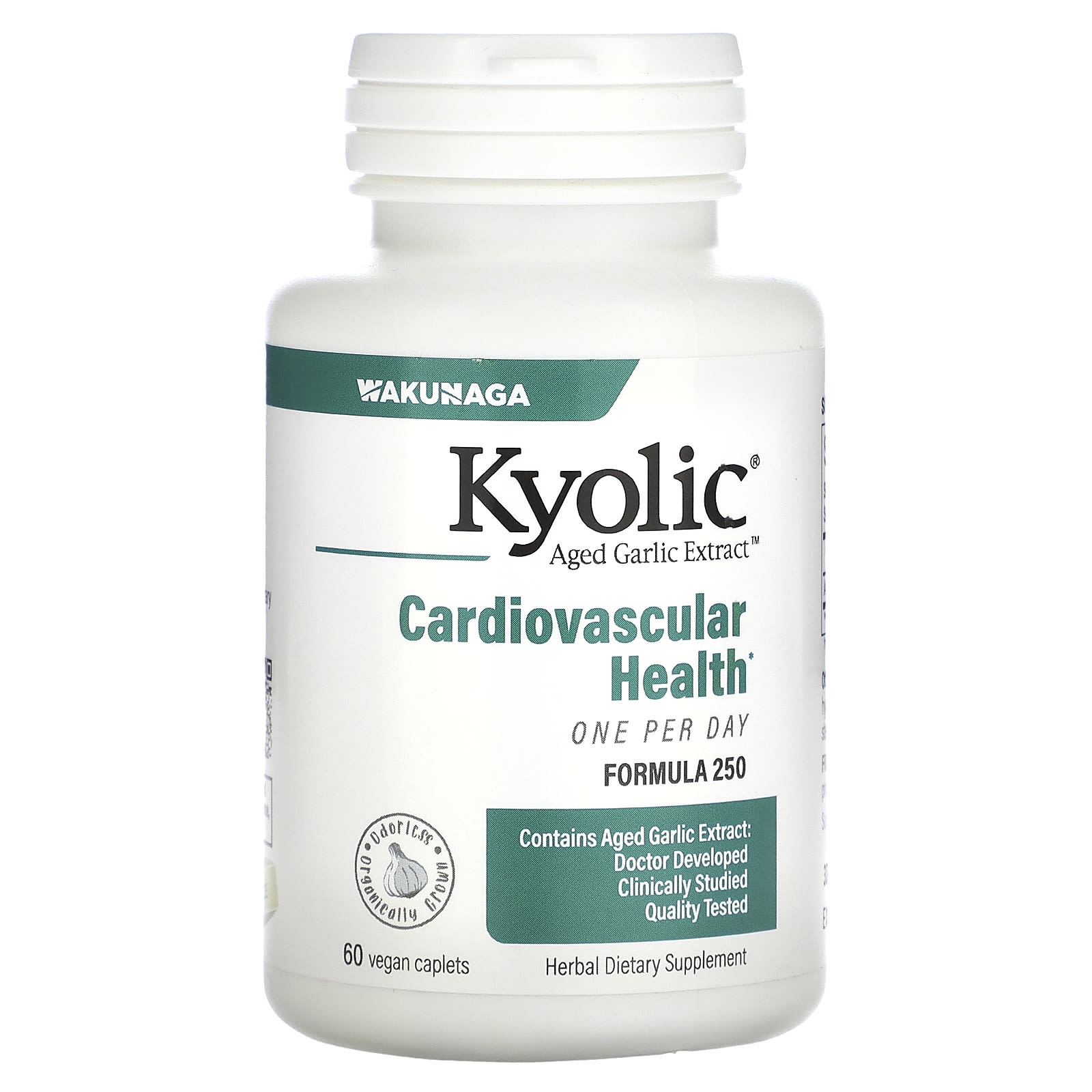 Комплекс Kyolic Aged Garlic Extract Cardiovascular Health One Per Day 250, 1000 мг, капсулы