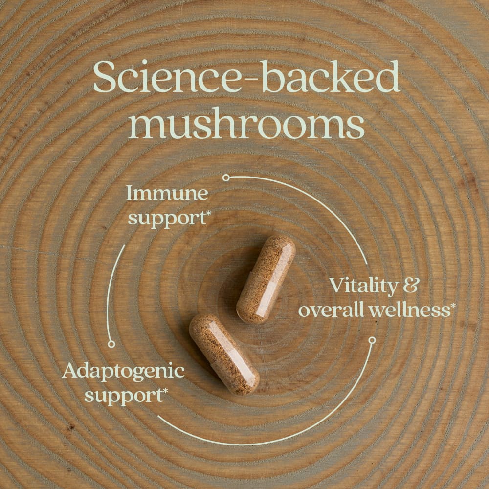 Поддержка иммунитета New Chapter Immune Reishi & Shiitake Mushroom Blend, 120 растительных капсул — фото 2