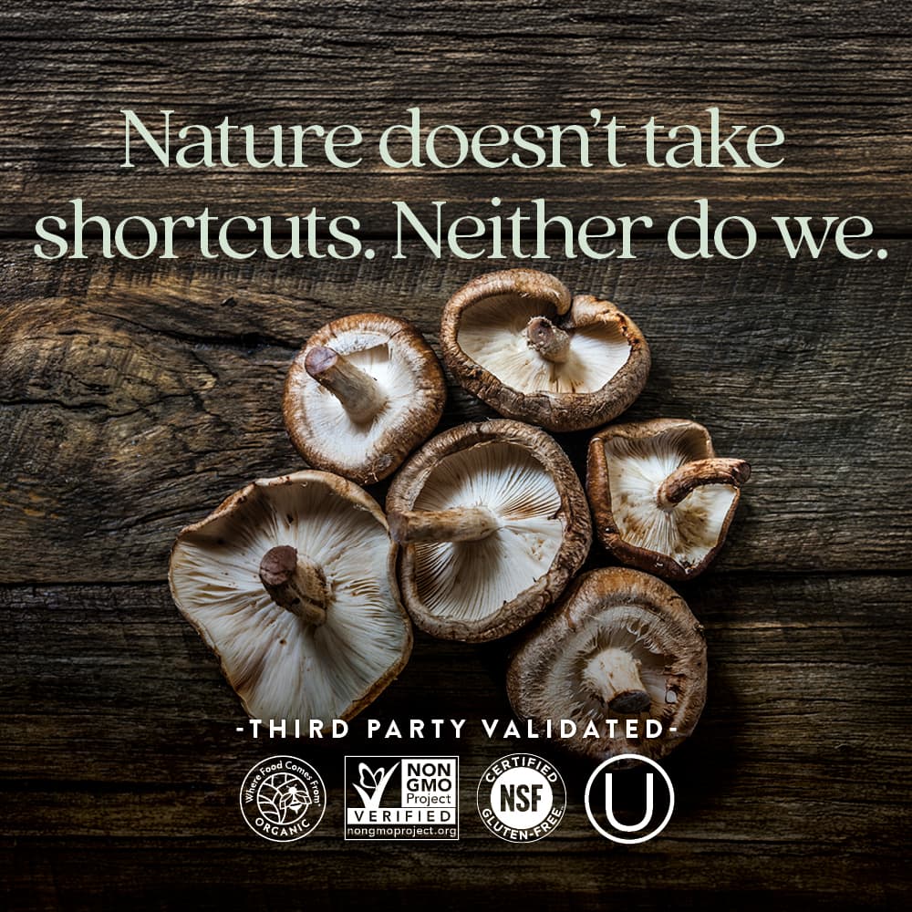 Поддержка иммунитета New Chapter Immune Reishi & Shiitake Mushroom Blend, 120 растительных капсул — фото 3