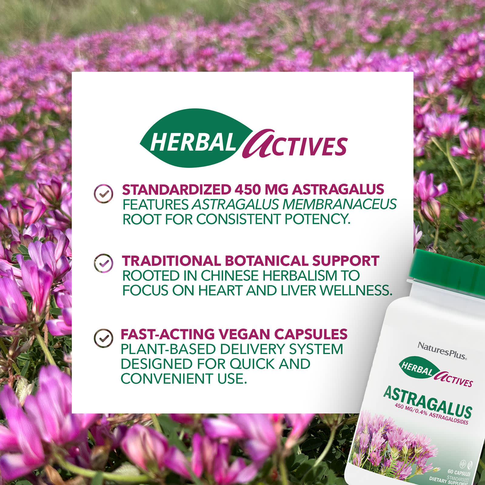 Астрагал NaturesPlus Herbal Actives, 450 мг, 60 капсул — фото 3