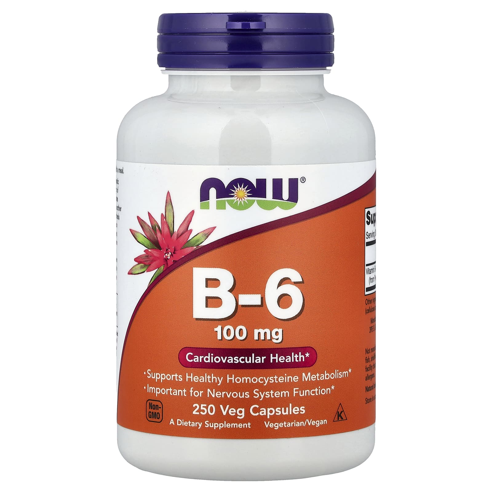 Витамин B6 NOW Foods, 100 мг, 250 растительных капсул