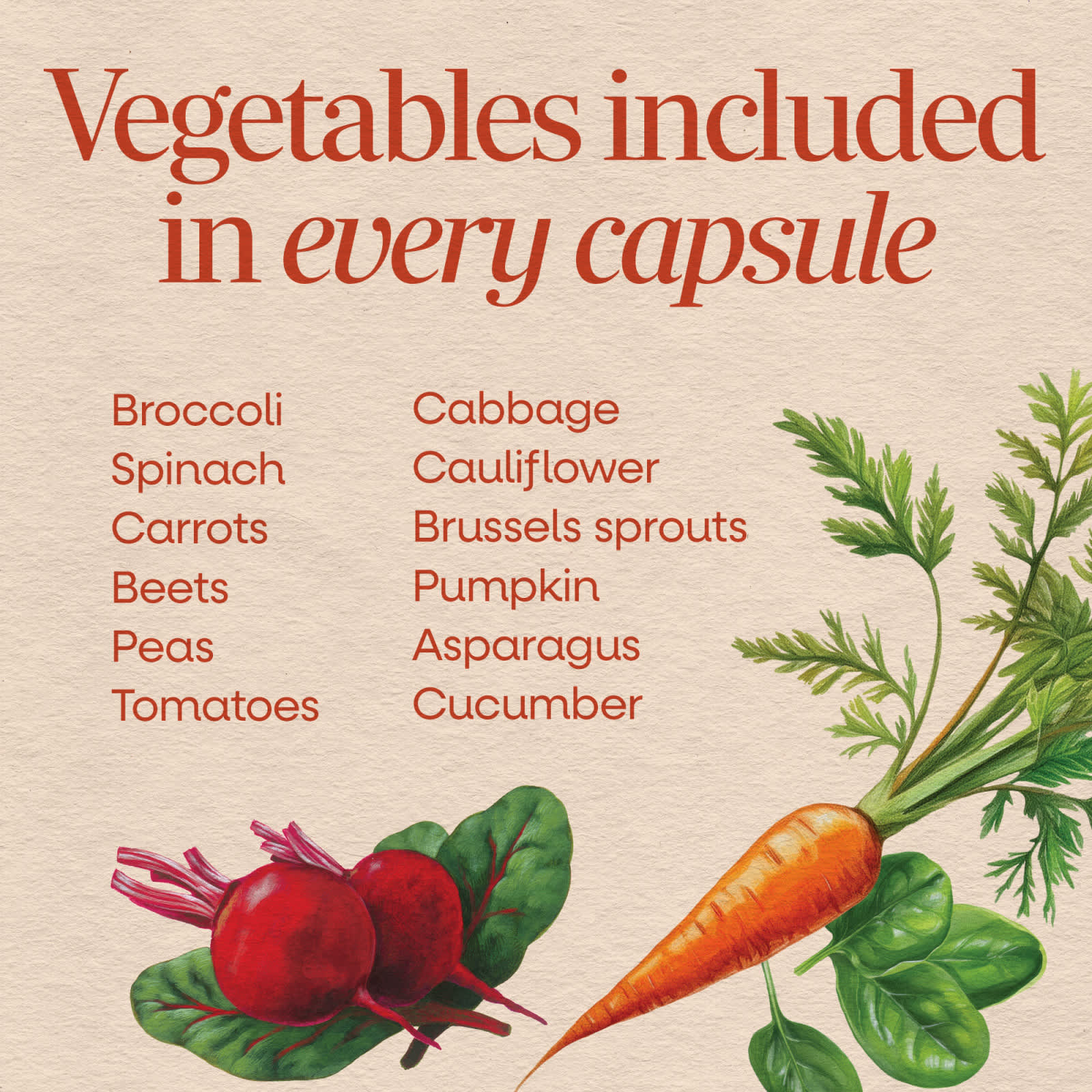 Порошок Nature's Way Garden Veggies™ Veggie Blend, 60 растительных капсул — фото 4