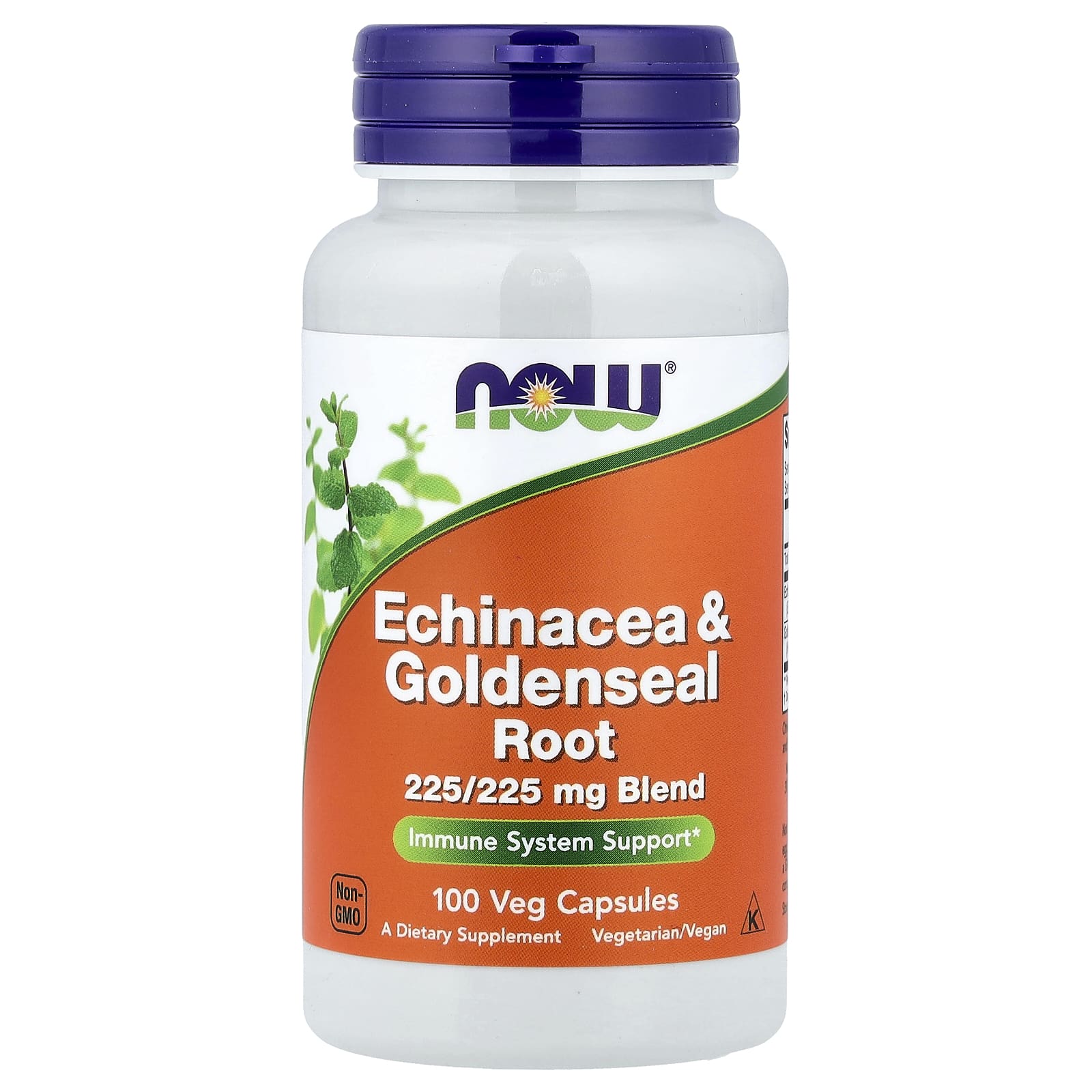 Эхинацея NOW Foods & Goldenseal Root, 100 растительных капсул
