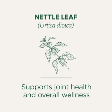 Чай Traditional Medicinals Organic Nettle Leaf Caffeine Free, оттенок 16 Wrapped Tea Bags, 32 г, чайные пакетики