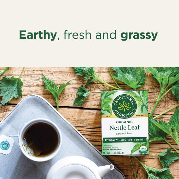 Чай Traditional Medicinals Organic Nettle Leaf Caffeine Free, оттенок 16 Wrapped Tea Bags, 32 г, чайные пакетики — фото 2