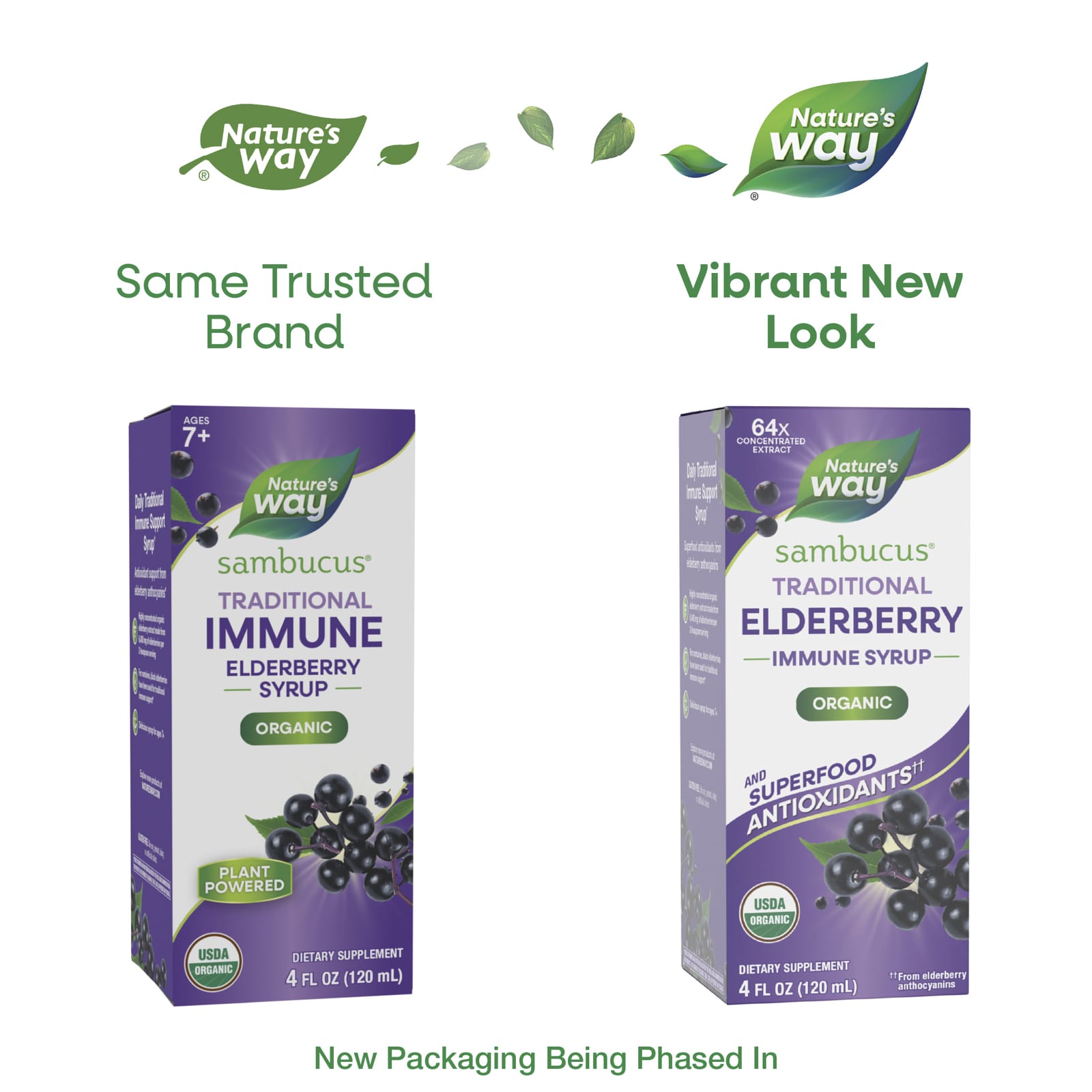 Бузина Nature's Way Sambucus® Traditional Immune Syrup, для детей от 7 лет, 120 мл