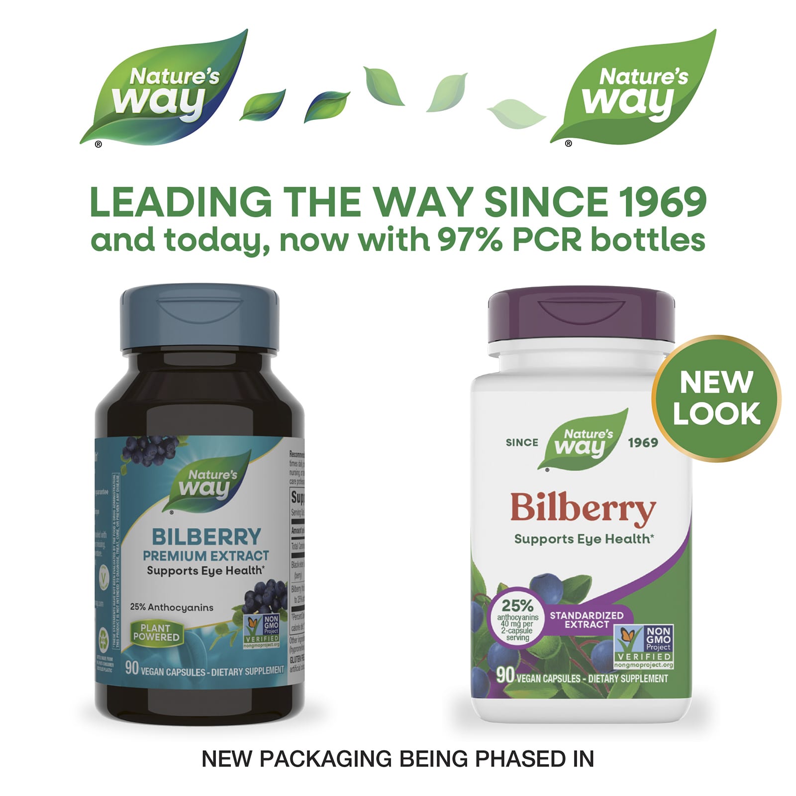 Черника Nature's Way, вкус Bilberry, 90 растительных капсул