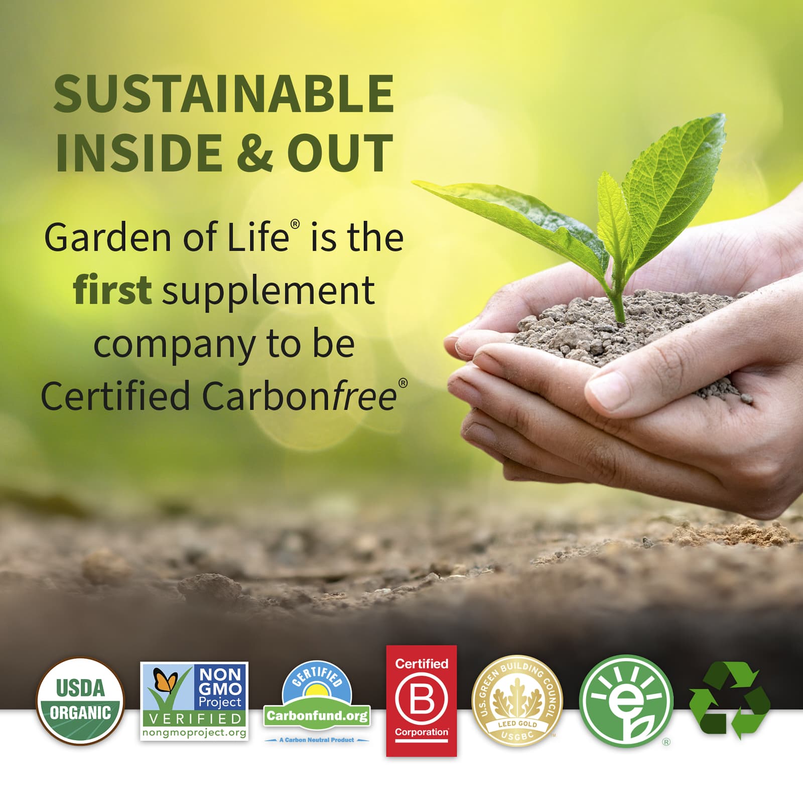 Шоколад Garden of Life RAW Organic Meal Replacement Shake, 078 г, 38.03 унций — фото 3