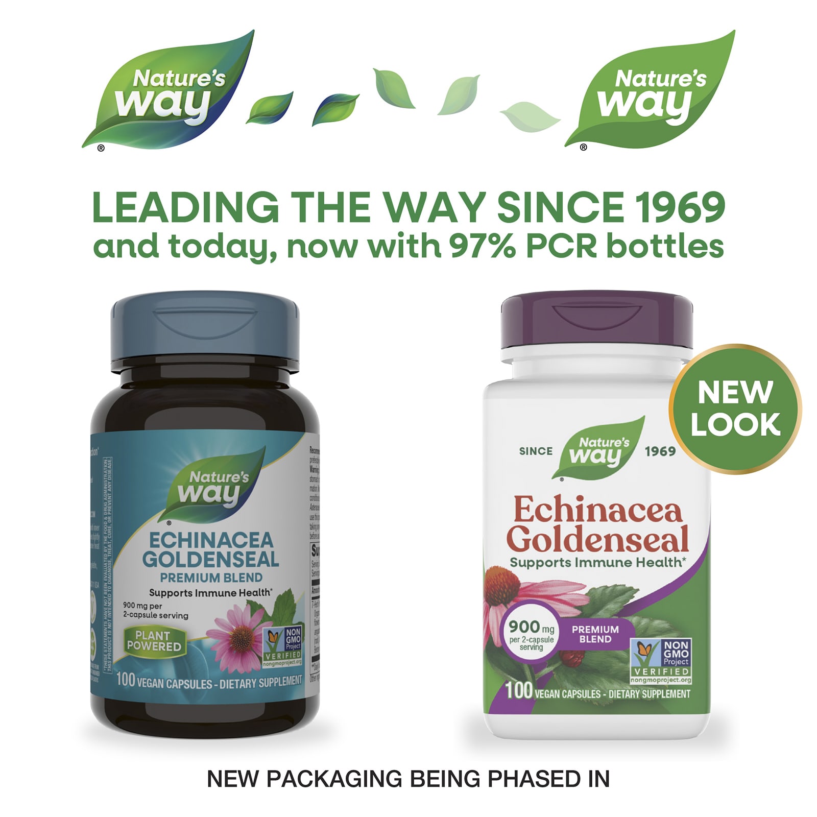 Эхинацея Nature's Way Goldenseal, 100 растительных капсул