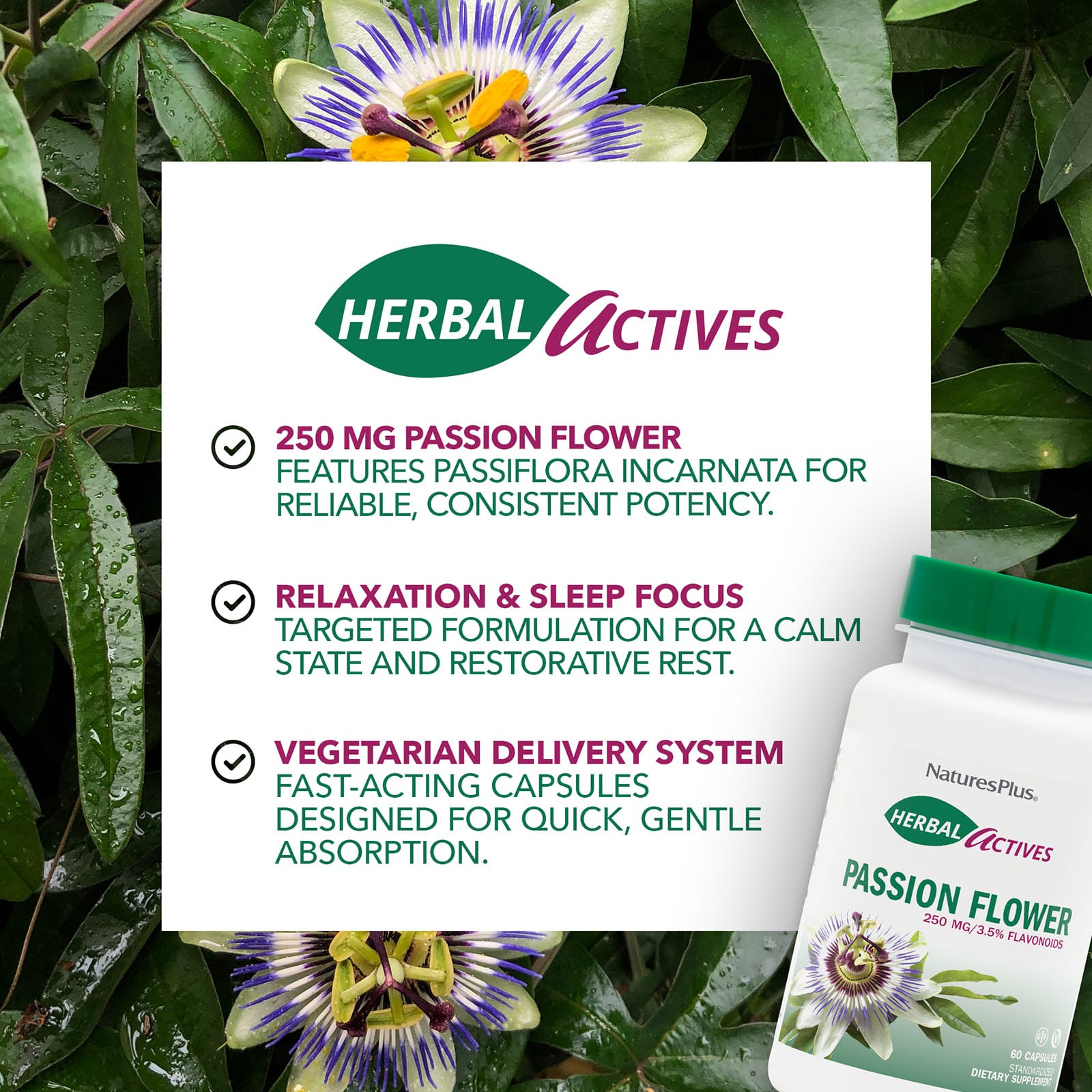 Пассифлора NaturesPlus Herbal Actives, 250 мг, 60 капсул — фото 3