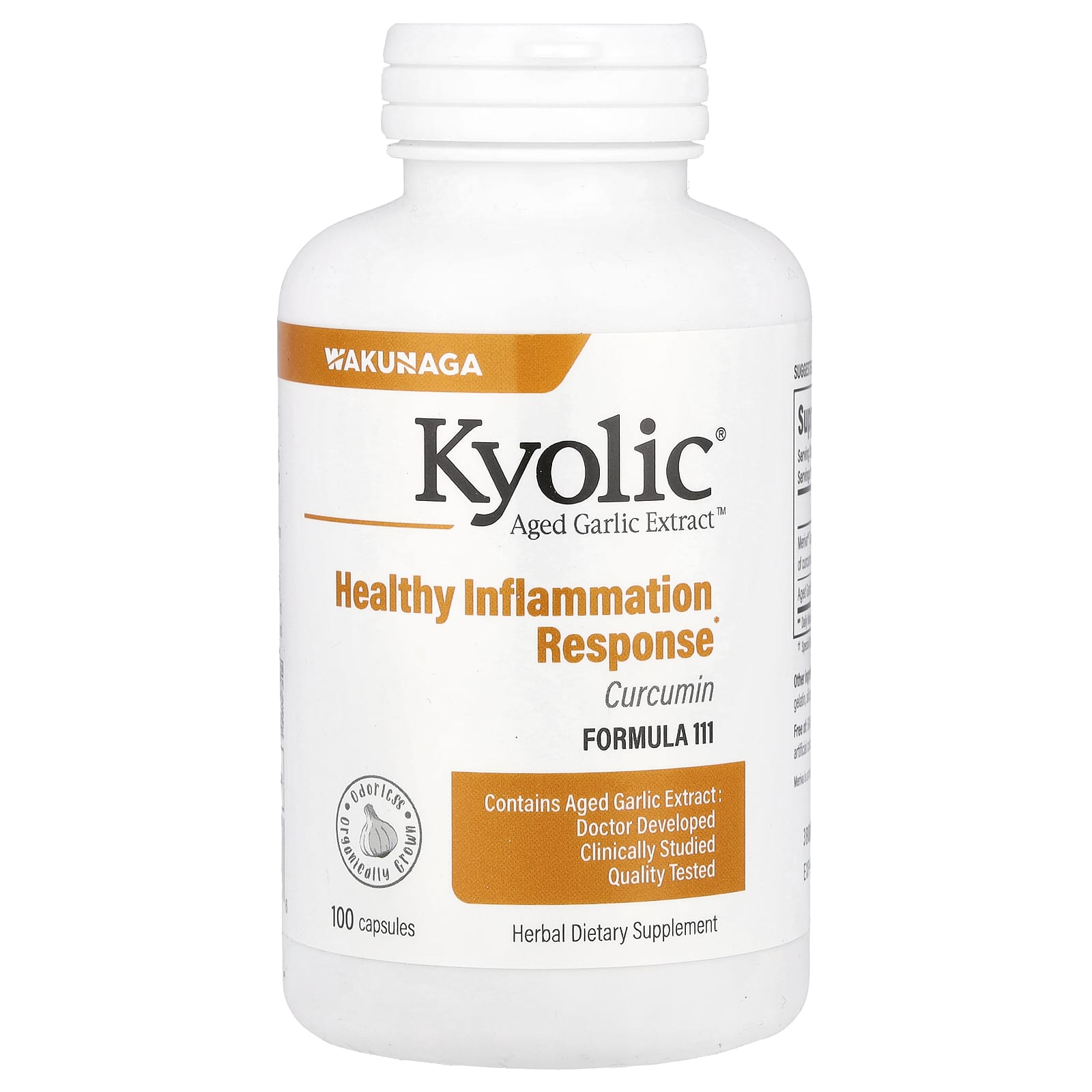 Куркумин Kyolic Aged Garlic Extract™ Formula 111, 100 капсул