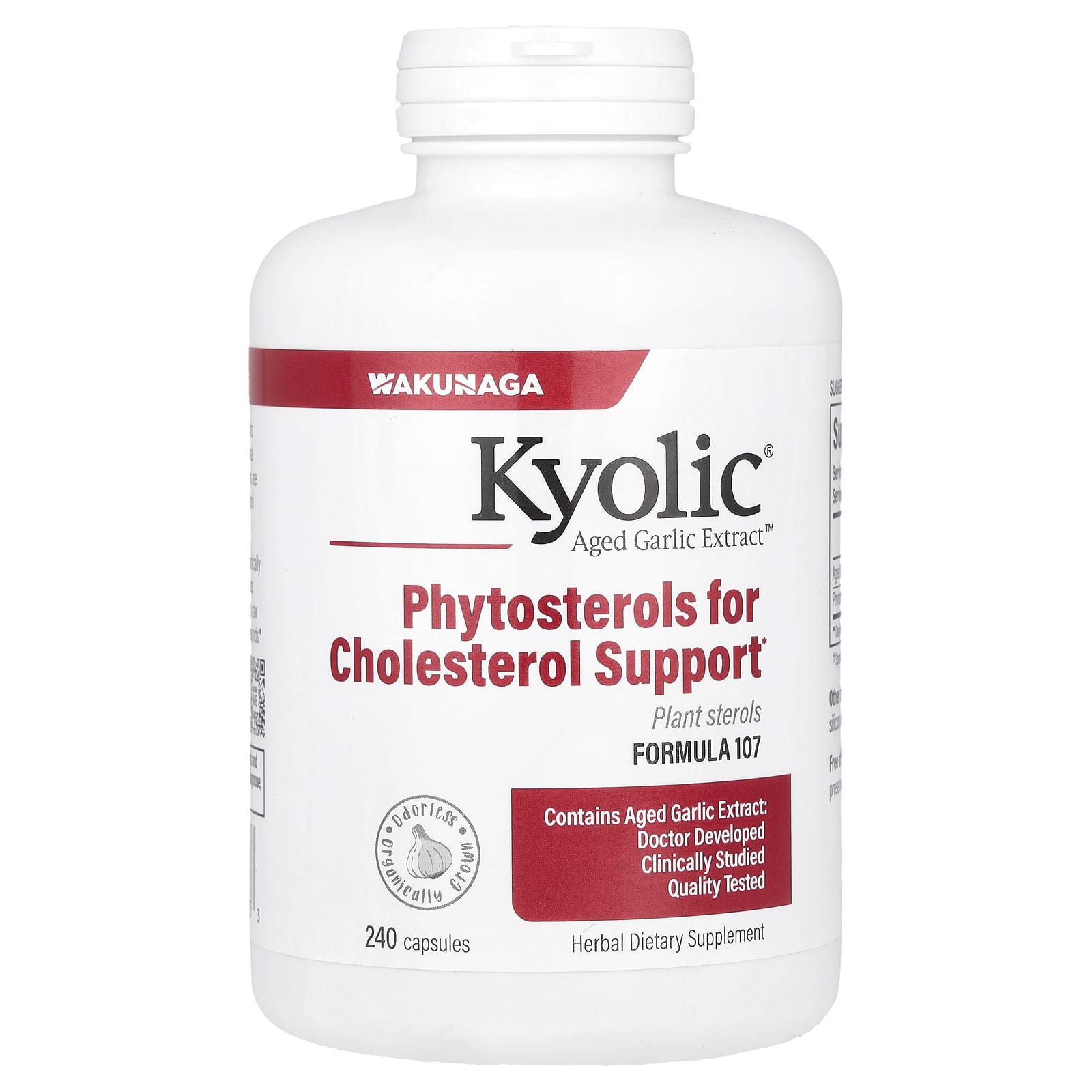 Комплекс Kyolic Aged Garlic Extract™ 107, 240 капсул
