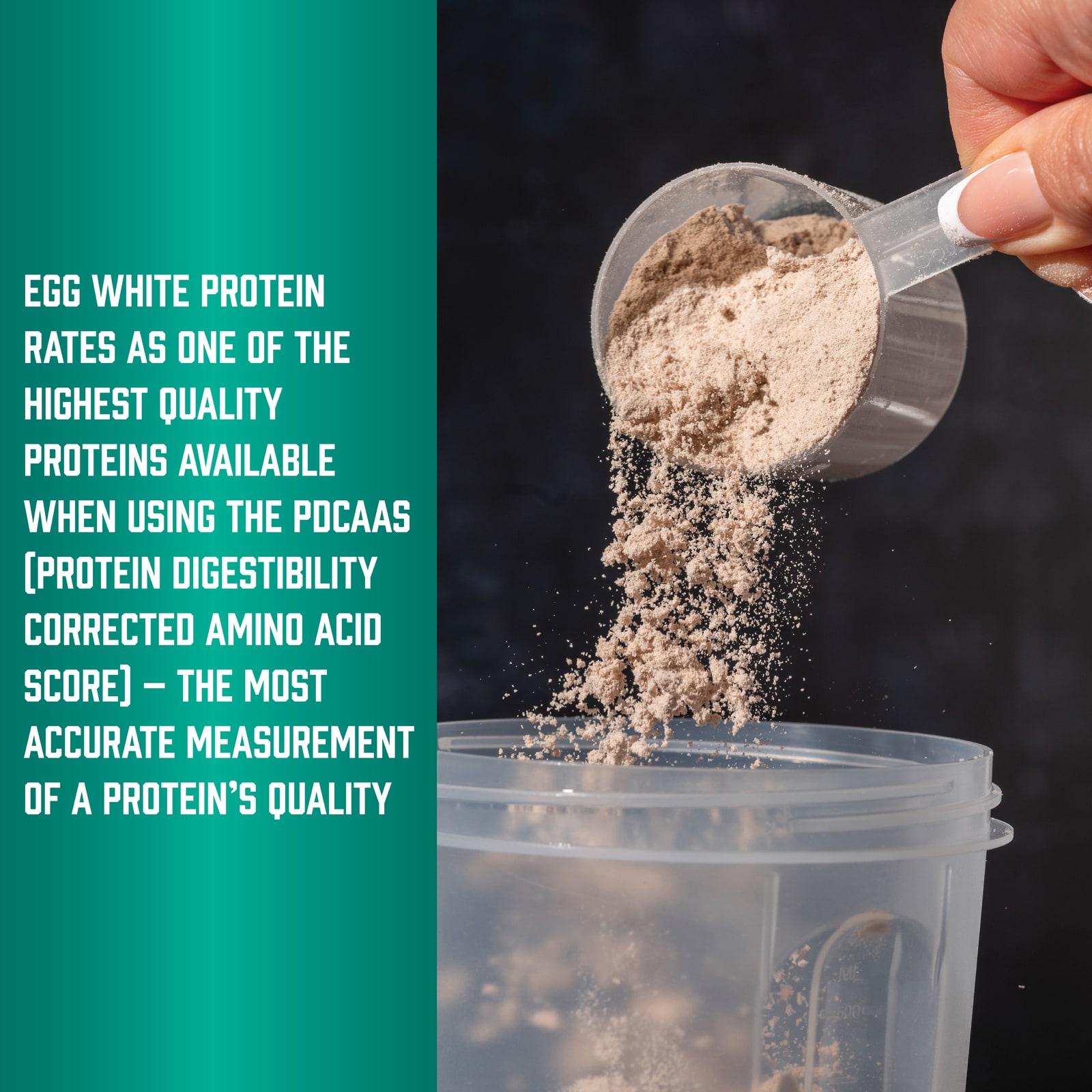 Протеиновый порошок NOW Foods Sports Egg White Protein with BCAAs, без вкуса, 544 г — фото 4