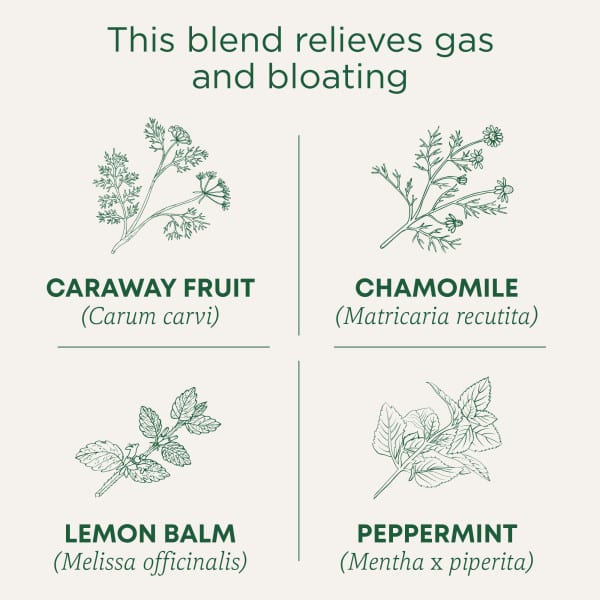 Чай Traditional Medicinals Organic Gas Relief™ Chamomile Mint Caffeine Free, оттенок 16 Wrapped Tea Bags, 24 г, чайные пакетики — фото 4