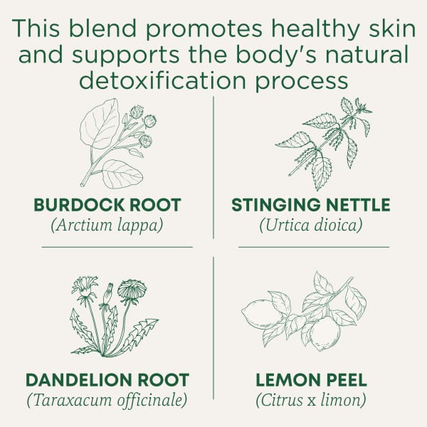 Чай Traditional Medicinals Organic EveryDay Detox® Lemon Caffeine Free, оттенок 16 Wrapped Tea Bags, 24 г, чайные пакетики — фото 4