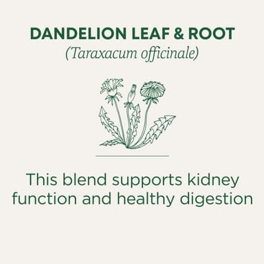 Чай Traditional Medicinals Organic Dandelion Leaf & Root Caffeine Free, оттенок 16 Wrapped Tea Bags, 28 г, чайные пакетики