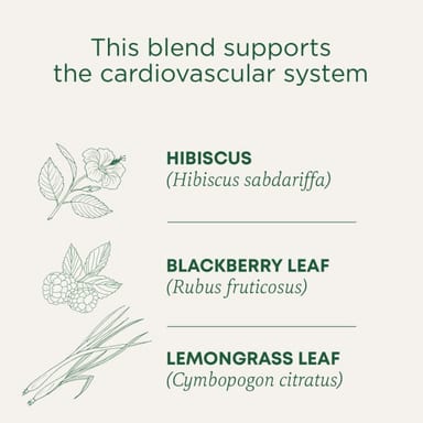 Чай Traditional Medicinals Organic Hibiscus Caffeine Free, оттенок 16 Wrapped Tea Bags, 28 г, чайные пакетики