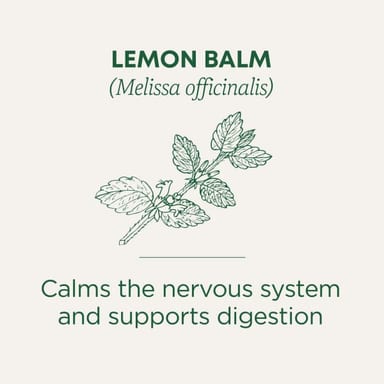 Чай Traditional Medicinals Organic Lemon Balm Caffeine Free, оттенок 16 Wrapped Tea Bags, 24 г, чайные пакетики