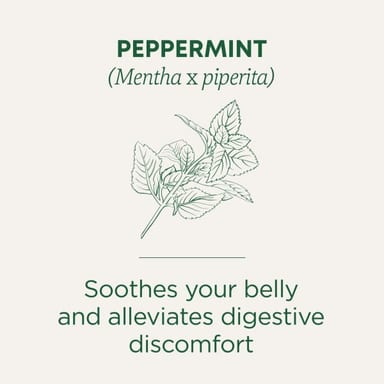 Чайные пакетики Traditional Medicinals Organic Peppermint, без кофеина, 24 г, 16 чайных пакетиков