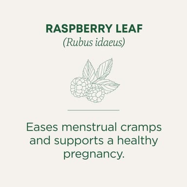 Чайные пакетики Traditional Medicinals, без кофеина, вкус Organic Raspberry Leaf, 24 г, 16 чайных пакетиков