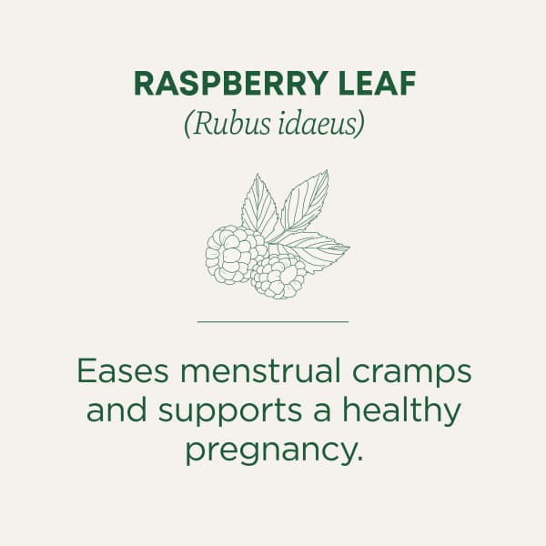 Чайные пакетики Traditional Medicinals, без кофеина, вкус Organic Raspberry Leaf, 24 г, 16 чайных пакетиков
